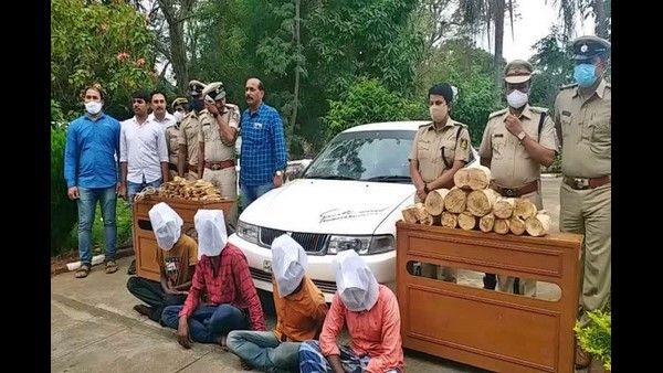 ಶ್ರೀಗಂಧ ಕದಿಯಲು ಮೈಸೂರನ್ನೇ ಕೇಂದ್ರ ಮಾಡಿಕೊಂಡಿದ್ದ ಅಂತರ್ ರಾಜ್ಯ ಕಳ್ಳರ ಬಂಧನ