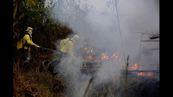 ಕಾಡು ಜಾಗವನ್ನೇ ಸೇಲ್ ಮಾಡಿದ ಕಿರಾತಕ..! ಅಮೆಜಾನ್ ಅರಣ್ಯ ಫೇಸ್‌ಬುಕ್‌ನಲ್ಲಿ ಮಾರಾಟ..!