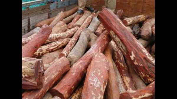 ಶ್ರೀಗಂಧ ಸಾಗಿಸುತ್ತಿದ್ದವರಿಗೆ ಜೈಲು, ದಂಡ: ಏನಿದು ಕೇಸ್? ಶಿಕ್ಷೆಗೊಳಗಾದವರು ಯಾರು?