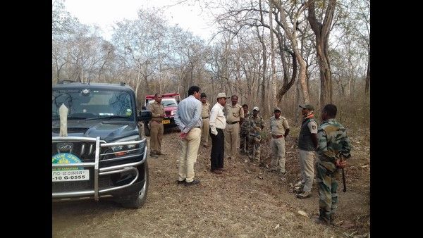 ಬಂಡೀಪುರದಲ್ಲಿ ಕಾಡ್ಗಿಚ್ಚು ತಡೆಗೆ ಅರಣ್ಯ ಸಿಬ್ಬಂದಿ ಸಜ್ಜು