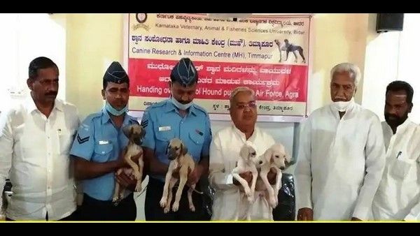 ವಾಯುಪಡೆಯ ಸೇವೆಗೆ ಕರ್ನಾಟಕದ ಹೆಮ್ಮೆಯ ಮುಧೋಳ ಶ್ವಾನ