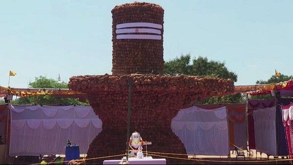 ಮಹಾ ಶಿವರಾತ್ರಿ ವಿಶೇಷ: ಮೈಸೂರಿನಲ್ಲಿ 21 ಅಡಿ ಎತ್ತರದ ತೆಂಗಿನಕಾಯಿ ಶಿವಲಿಂಗ 