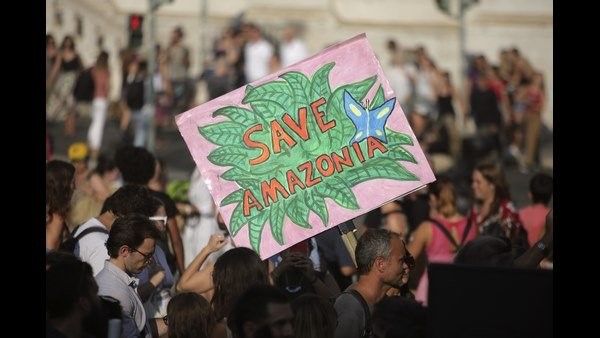 ಪರಿಸರ ಉಳಿಸಲು ಸುಪ್ರೀಂಕೋರ್ಟ್ ದಿಟ್ಟ ನಿರ್ಧಾರ..! ಕಾಡುಗಳ್ಳನಿಗೆ ಕಾದಿದೆ ಮಾರಿಹಬ್ಬ..!