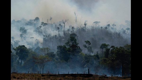 ಭೂಮಿ ಸರ್ವನಾಶಕ್ಕೆ ದುಷ್ಟರ ಮುನ್ನುಡಿ, ಕಾಡು ಕಡಿದು ಬೆಂಕಿ ಇಟ್ಟವರಿಗೆ ಹಿಡಿಶಾಪ