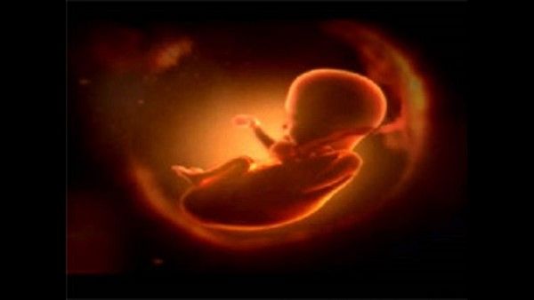 ಅತ್ಯಾಚಾರ ಸಂತ್ರಸ್ತೆಗೆ 26 ವಾರಗಳ ನಂತರ ಗರ್ಭಪಾತ? ವರದಿ ಕೇಳಿದ ಸುಪ್ರೀಂ