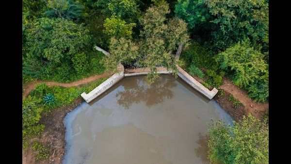 ಜೀವ ವೈವಿಧ್ಯವನ ಭಾಗ-10: ಮನ್ ಕಿ ಬಾತ್; ಹೇಳಿದ್ದನ್ನು ಮಾಡಿ ಪ್ಲೀಸ್