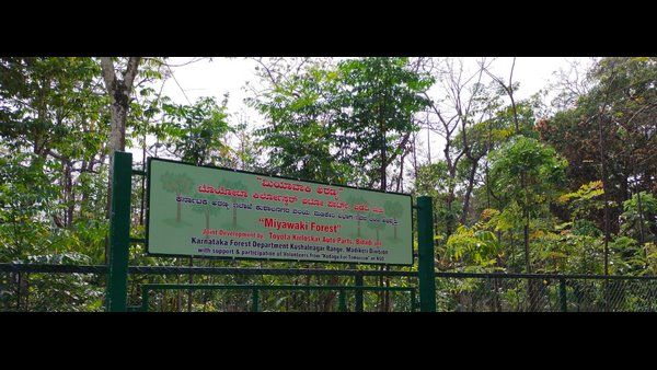 ಕೊಡಗು: ಭೂಕುಸಿತ ತಡೆಗೆ ಮಿಯಾವಕಿ ವನ ನಿರ್ಮಾಣ