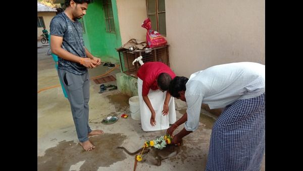 ಚಿತ್ರದುರ್ಗ; ಆತಂಕ ಮೂಡಿಸಿದ ಮಂಗಗಳ ಸರಣಿ ಸಾವು