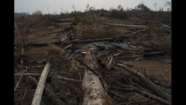 ಭೂಮಿ ಮೇಲೆ ಪ್ರಳಯ! ಡೈನೋಸಾರ್ ಸಂತತಿ ನಾಶವಾಗಿದ್ದು ಹೇಗೆ?