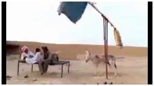 ವೈರಲ್ ವಿಡಿಯೋ: ಬೇಸಿಗೆಯ ಬಿಸಿಲಿನಿಂದ ರಕ್ಷಣೆ ಪಡೆಯಲು ಕತ್ತೆಯ ಬಳಕೆ!