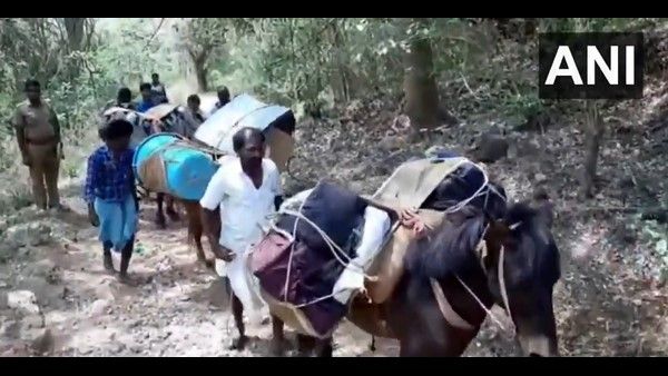 ತಮಿಳುನಾಡು: ಕತ್ತೆಗಳ ಮೇಲೆ ಇವಿಎಂ, ವಿವಿಪ್ಯಾಟ್ ಸಾಗಣೆ