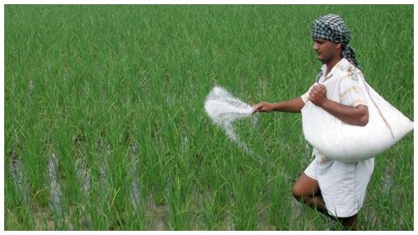 ರಸಗೊಬ್ಬರ ಬೆಲೆ ಏರಿಕೆ ಖಂಡಿಸಿ, ರೈತ ಸಂಘದಿಂದ ರಾಜ್ಯವ್ಯಾಪಿ ಪ್ರತಿಭಟನೆ