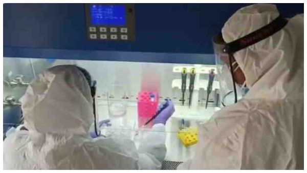 ಏನಿದು ಡಿಆರ್‌ಡಿಒ Anti-ಕೋವಿಡ್ ಡ್ರಗ್ಸ್? ಹೇಗೆ ಉಪಯುಕ್ತ?