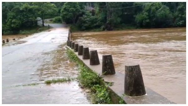 ಮಲೆನಾಡಿನಲ್ಲಿ ಮುಂದುವರೆದ ಮಳೆ ಅಬ್ಬರ: ಮೈದುಂಬಿ ಹರಿದ ಭದ್ರಾ ನದಿ