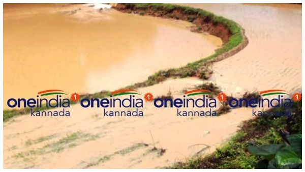 ಮಳೆ ಅಬ್ಬರಕ್ಕೆ ತ್ರಿವೇಣಿ ಸಂಗಮ ಜಲಾವೃತ: ಭತ್ತದ ಕೃಷಿ ಚಟುವಟಿಕೆ ಶುರು