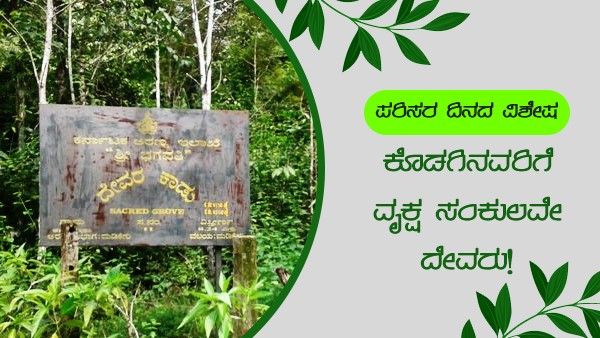 ವಿಶ್ವ ಪರಿಸರ ದಿನದ ವಿಶೇಷ: ಕೊಡಗಿನವರಿಗೆ ವೃಕ್ಷ ಸಂಕುಲವೇ ದೇವರು!