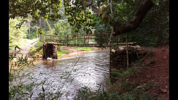 ಪ್ರಧಾನಿ ಸೂಚಿಸಿದರೂ ಈಡೇರದ ಬೇಡಿಕೆ; ಸ್ವಂತ ಖರ್ಚಿನಲ್ಲಿ ಸೇತುವೆ ನಿರ್ಮಾಣ