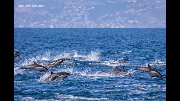ಭೂಮಿ ಮೇಲೆ ಮತ್ತೊಂದು ಮಹಾಸಾಗರ ಪತ್ತೆ..! ವಿಜ್ಞಾನಿಗಳು ಕೊಟ್ಟ ಹೆಸರೇನು?