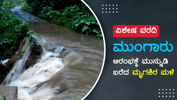 ಮುಂಗಾರು ಆರಂಭಕ್ಕೆ ಮುನ್ನುಡಿ ಬರೆದ ಮೃಗಶಿರ ಮಳೆ