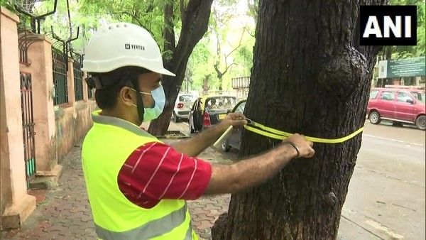 ಹಳೆಯ ಮರಗಳ ಉಳಿವಿಗಾಗಿ 'ಸರ್ಜನ್' ನೇಮಕ ಮಾಡಿದ ಬಿಎಂಸಿ