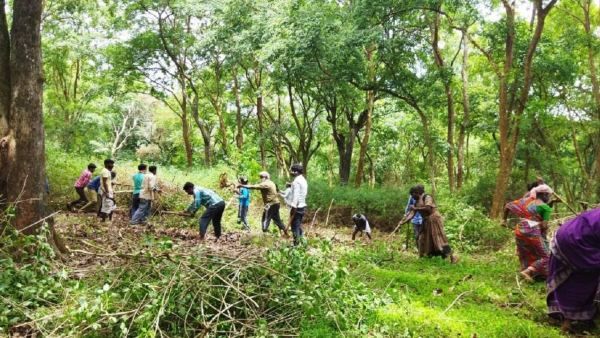 ವನ್ಯ ಜೀವಿಗಳಿಗೆ ಕಾಡಿನಲ್ಲಿ ಆಹಾರ ಬೆಳೆಸಲು ಮುಂದಾದ ಅರಣ್ಯ ಇಲಾಖೆ