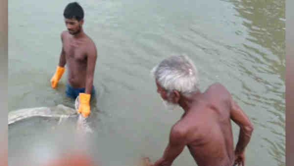 ಪ್ರಯಾಗ್‌ರಾಜ್‌: ಗಂಗಾ ನೀರು ಹೆಚ್ಚಳವಾದಂತೆ ನದಿಯಲ್ಲಿ ತೇಲಿದ ಮೃತದೇಹಗಳು