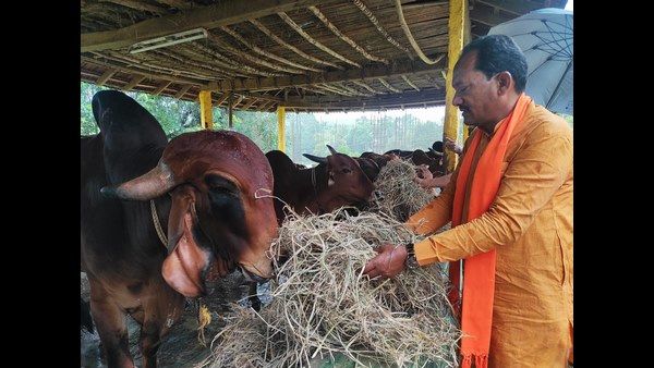 ಬಕ್ರೀದ್‌ಗೆ ಗೋವುಗಳ ಬಲಿ ಬೇಡ: ಪಶುಸಂಗೋಪನಾ ಸಚಿವ ಪ್ರಭು ಚೌಹಾಣ್ ಮನವಿ!