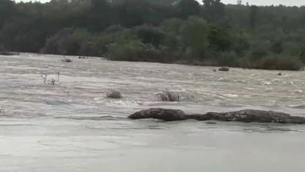 ಕೊಡಗಿನಲ್ಲಿ ವರುಣನ ಆರ್ಭಟ: ತುಂಬಿ ಹರಿಯುತ್ತಿರುವ ನದಿ- ಕೊಳ್ಳಗಳು