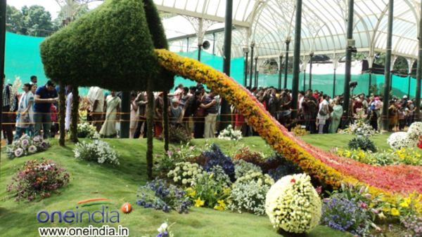 ಲಾಲ್‌ಬಾಗ್ ಪುಷ್ಪ ಪ್ರದರ್ಶನ: ಈ ಬಾರಿಯ ವಿಶೇಷತೆ ಏನು?