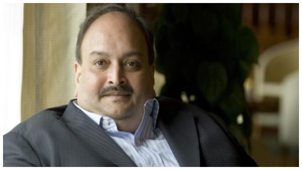 ಡೊಮಿನಿಕಾ ನ್ಯಾಯಾಲಯದಿಂದ ಮೆಹುಲ್ ಚೋಕ್ಸಿಗೆ ವೈದ್ಯಕೀಯ ಜಾಮೀನು