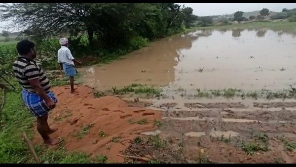 ವಿಜಯನಗರ ಜಿಲ್ಲೆಯಲ್ಲಿ ಭಾರೀ ಮಳೆ: ಉಕ್ಕಿ ಹರಿದ ಹಳ್ಳಗಳು