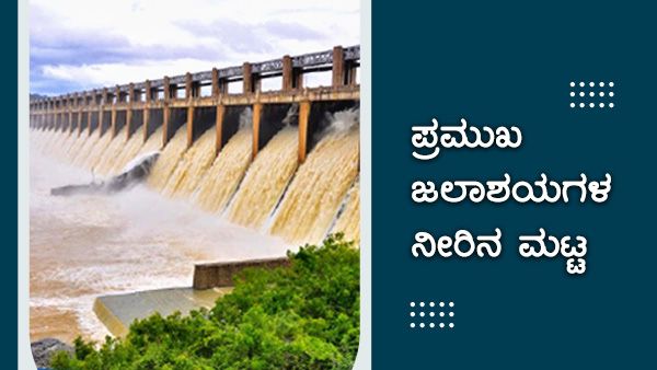 ಕರ್ನಾಟಕದಲ್ಲಿ ಧಾರಾಕಾರ ಮಳೆ; ಡ್ಯಾಂಗಳ ನೀರಿನ ಮಟ್ಟ 