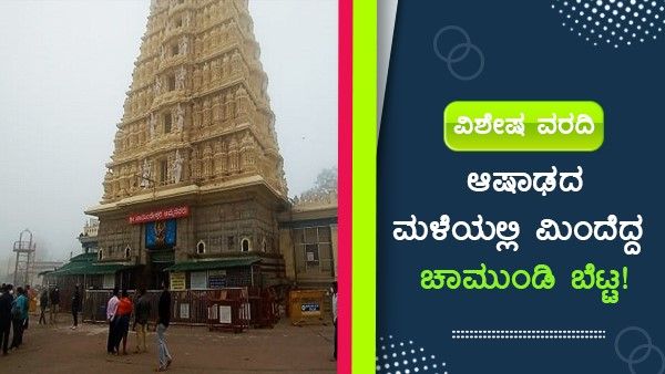 ವಿಶೇಷ ವರದಿ: ಆಷಾಢದ ಮಳೆಯಲ್ಲಿ ಮಿಂದೆದ್ದ ಚಾಮುಂಡಿ ಬೆಟ್ಟ!
