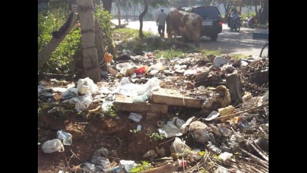 ಬಿಂಗಿಪುರ ಕೆರೆ ಪುನರುಜ್ಜೀವನ, 4 ಗ್ರಾಮಗಳ 5500 ಜನರಿಗೆ ನೆರವು