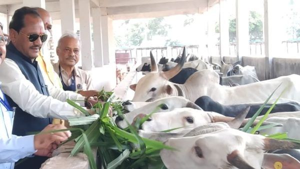 ಪಶುಸಂಗೋಪನಾ ಇಲಾಖೆಯಲ್ಲಿ ಸಿಬ್ಬಂದಿಗಳ ನೇಮಕ 