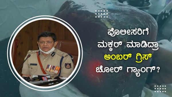 ಪೊಲೀಸರಿಗೆ ಮಕ್ಕರ್ ಮಾಡಿದ್ರಾ ಅಂಬರ್ ಗ್ರಿಸ್ ಚೋರ್ ಗ್ಯಾಂಗ್?