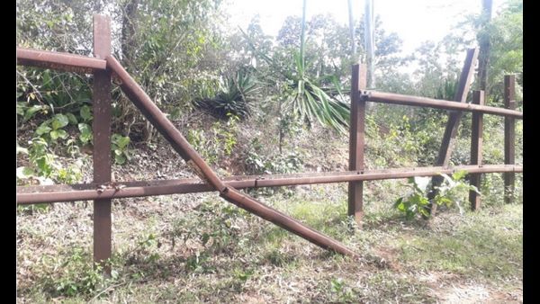 ನಾಗರಹೊಳೆಯಲ್ಲಿ ಲಗಾಮು ಮುರಿದು ನಾಡಿಗೆ ಕಾಲಿಟ್ಟ ಕಾಡಾನೆಗಳು!