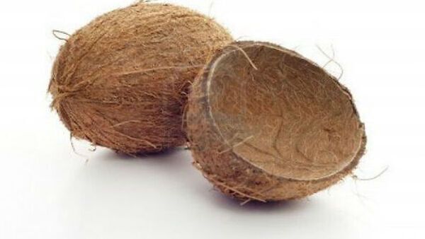 ಇಂಡೋನೇಷ್ಯಾದಲ್ಲಿ ತೆಂಗಿನ ಚಿಪ್ಪನ್ನು ಮಾಸ್ಕ್‌ ಮಾಡಿ ಧರಿಸಿದ ವ್ಯಕ್ತಿಗೆ 'ಪುಶ್‌ ಅಪ್‌' ಶಿಕ್ಷೆ