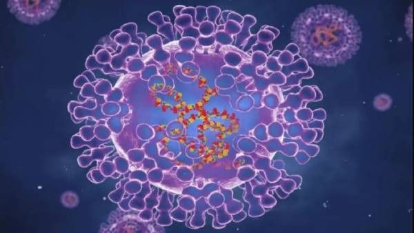 ಪ್ರಾಣಿಗಳಿಂದ ಮನುಷ್ಯರಿಗೆ ಹರಡುವ ಮಾರಣಾಂತಿಕ ರೋಗಕ್ಕೆ ಲಸಿಕೆ ಅಭಿಯಾನ ಆರಂಭ!