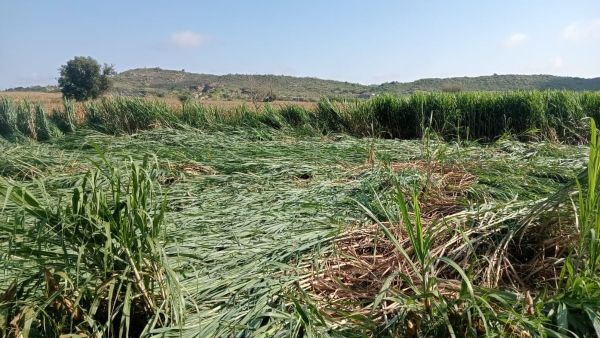 ಬೆಣ್ಣೆನಗರಿ ದಾವಣಗೆರೆಯಲ್ಲಿ ವರುಣನ ಆರ್ಭಟ; ರಾತ್ರಿಪೂರ್ತಿ ಜನರ ಪರದಾಟ!