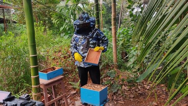 ಜೇನು ಹುಳದ ವಿಷಕ್ಕೂ ಭಾರೀ ಡಿಮ್ಯಾಂಡ್: ವಿಷ ಸಂಗ್ರಹದಲ್ಲಿ ಯಶಸ್ವಿಯಾದ ಮಂಗಳೂರಿನ ಯುವಕ