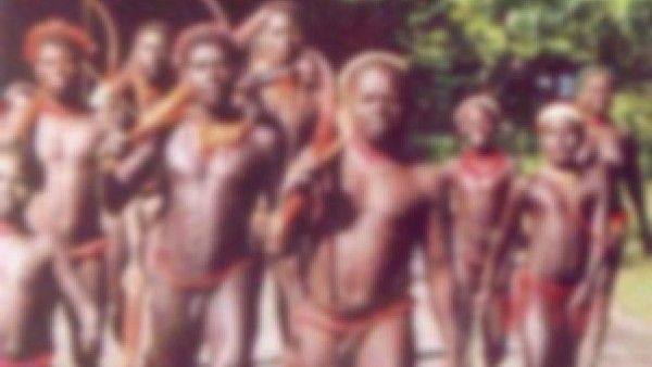 ಕೋವಿಡ್‌ ಬೆದರಿಕೆ: ಅಂಡಮಾನ್‌ ಬುಡಕಟ್ಟು ಜನಾಂಗ ಅಳಿವಿನ ಎಚ್ಚರಿಕೆ ನೀಡಿದ ವಿಜ್ಞಾನಿಗಳು