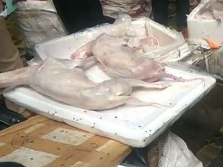 ನಾಯಿ ಮಾಂಸ ಬಳಕೆ ನಿಷೇಧಕ್ಕೆ ಮುಂದಾದ ದಕ್ಷಿಣ ಕೊರಿಯಾ