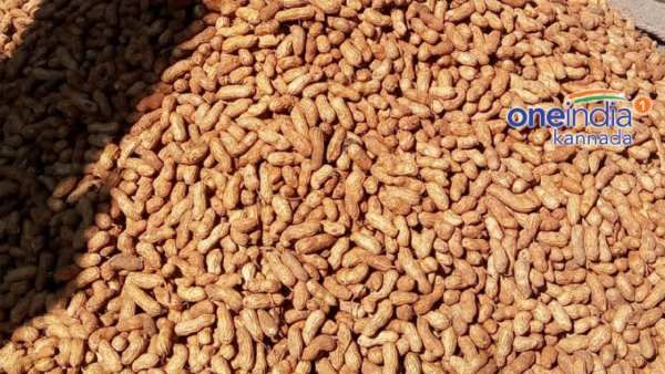 ಬಸವನಗುಡಿ ಕಡಲೆಕಾಯಿ ಪರಿಷೆಗೆ ದಿನಾಂಕ ನಿಗದಿ