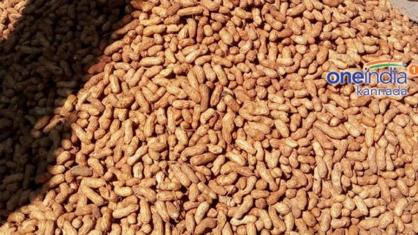 ಐತಿಹಾಸಿಕ ಕಡಲೆಕಾಯಿ ಪರಿಷೆ: ಸಂಚಾರ ಮಾರ್ಗ ಬದಲಾವಣೆ