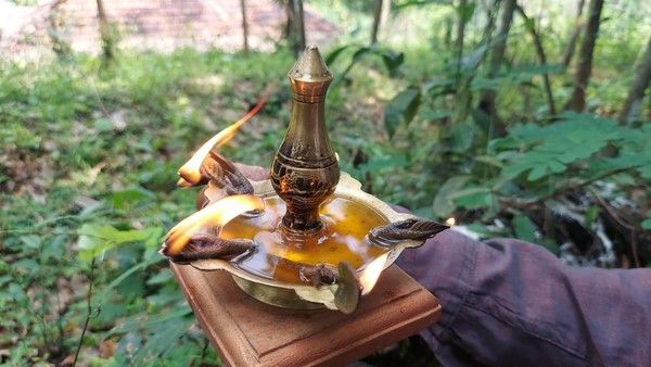 ಮರದ ಚಿಗುರಿನಿಂದಲೇ ಉರಿಯುತ್ತದೆ ದೀಪ; ಸುಳ್ಯದಲ್ಲಿ ಪೃಕೃತಿಯ ವಿಸ್ಮಯ!