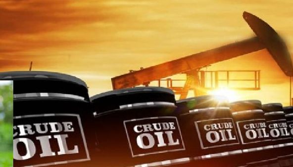 Explained: ಜಾಗತಿಕ ಮಟ್ಟದಲ್ಲಿ ಪೆಟ್ರೋಲ್, ಡೀಸೆಲ್ ಬೆಲೆ ಇಳಿಕೆಗೆ ಮಾಸ್ಟರ್ ಪ್ಲ್ಯಾನ್