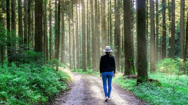 ಶ್ರೀನಾಥ್ ಭಲ್ಲೆ ಅಂಕಣ: ಒಂದಷ್ಟು ಹಳತು, ಒಂದಷ್ಟು ಹೊಸತು, ಎಲ್ಲಾ ಚೌಚೌ