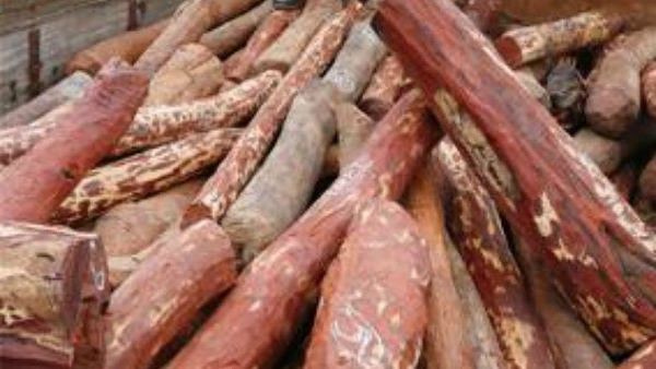 ರಕ್ತ ಚಂದನ ಅಕ್ರಮ ಸಾಗಣೆ, BIAL ಕಸ್ಟಮ್ಸ್‌ ಅಧಿಕಾರಿಗಳ ವಿರುದ್ಧ ಸಿಬಿಐ ಕೇಸ್