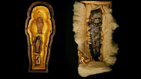 Fact check: ಈಜಿಪ್ಟ್‌ನಿಂದ ರಕ್ಷಿತ ವಿದೇಶಿಯರ ಈ ಕಥೆ ಕಾಲ್ಪನಿಕ